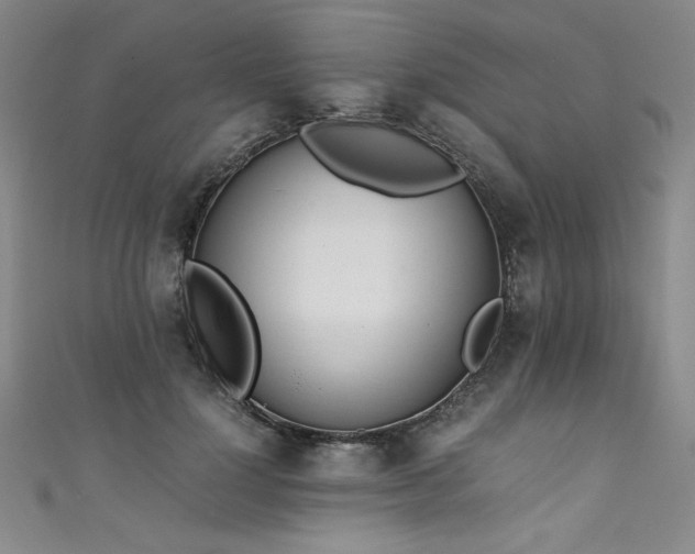 X0000111430748200907131223