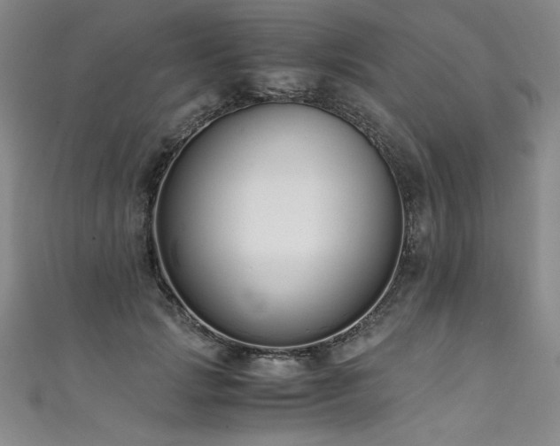 X0000111430749200907131223