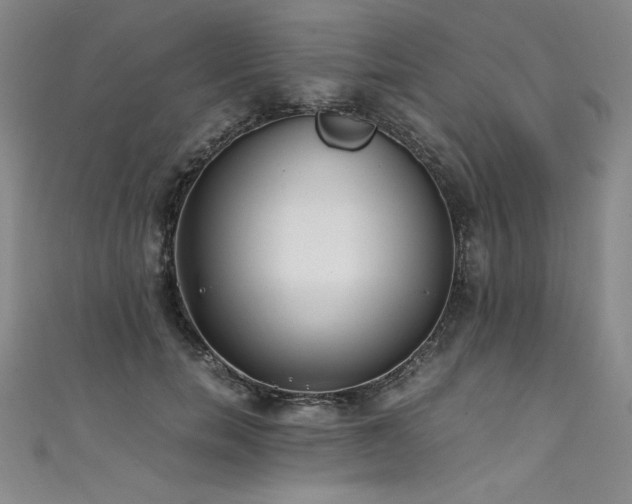 X0000111430750200907131223
