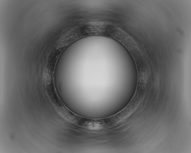 X0000111430751200907131223