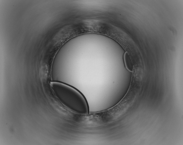 X0000111430752200907131223