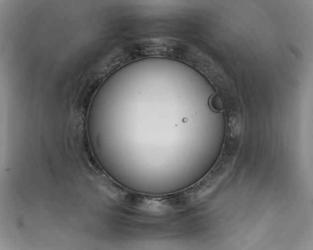 X0000111430753200907131223
