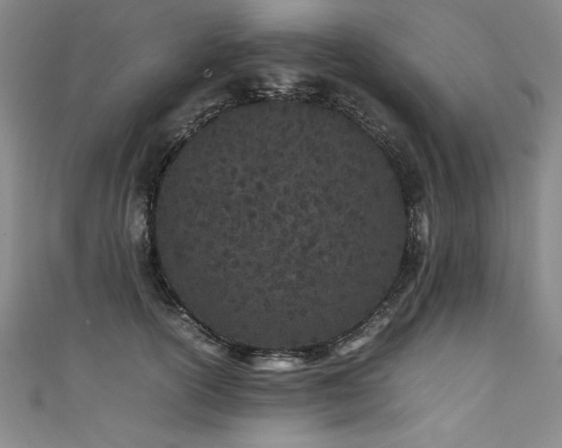 X0000111430754200907131223