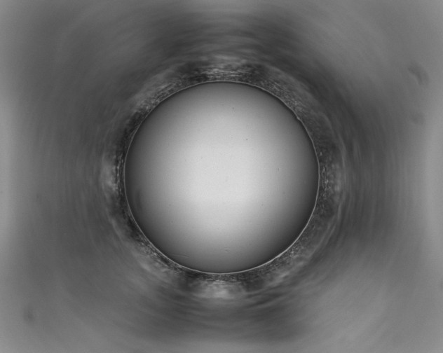 X0000111430755200907131223