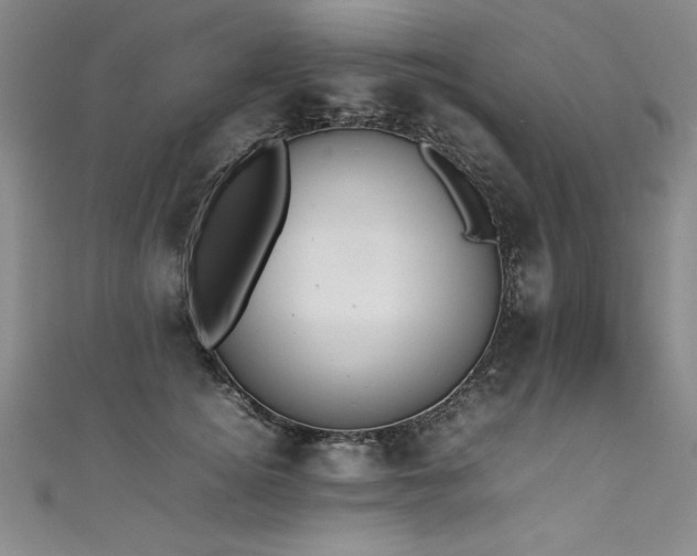 X0000111430756200907131223