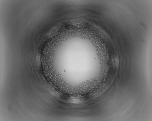 X0000111430757200907131223