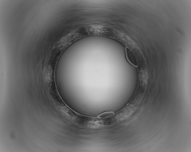 X0000111430760200907131223