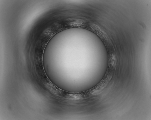 X0000111430763200907131223