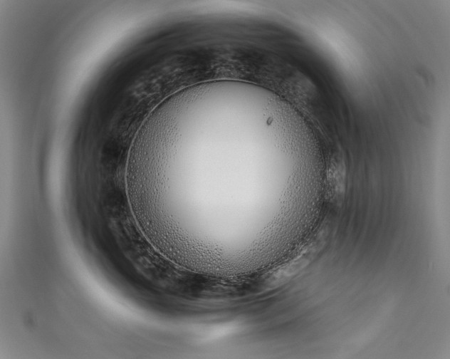 X0000111430765200907131223