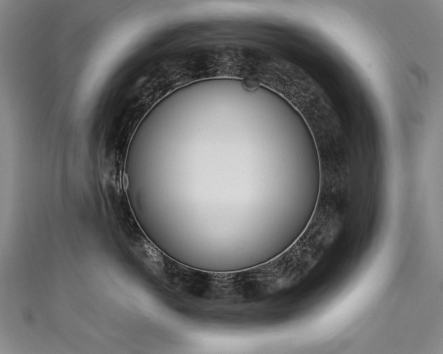 X0000111430766200907131223