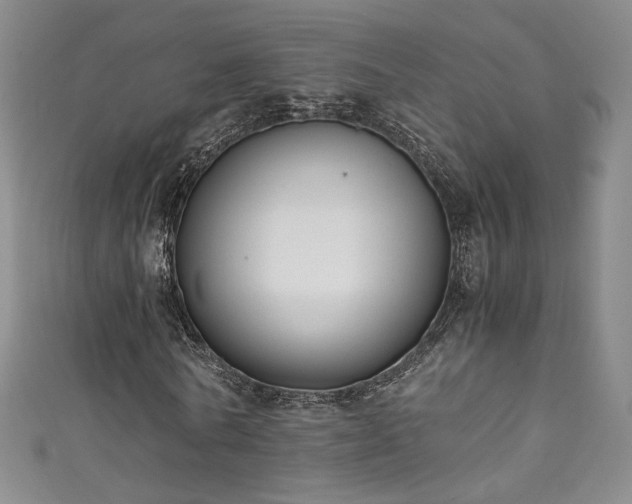 X0000111430770200907131222
