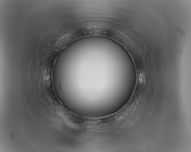 X0000111430771200907131222