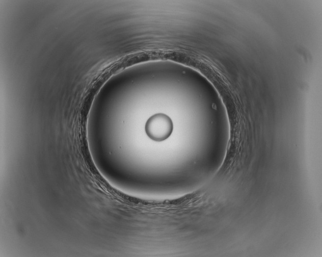X0000111430773200907131222