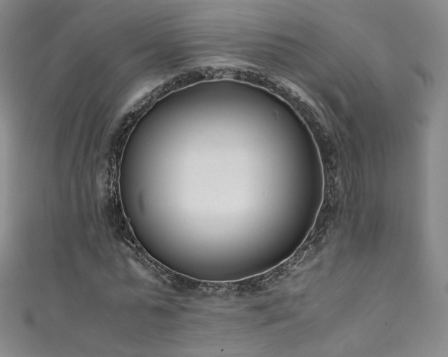 X0000111430775200907131222