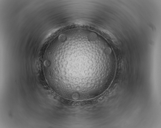 X0000111430776200907131222