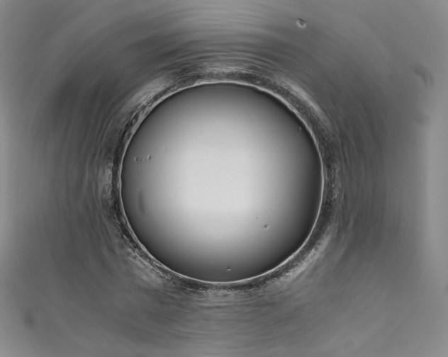 X0000111430777200907131222