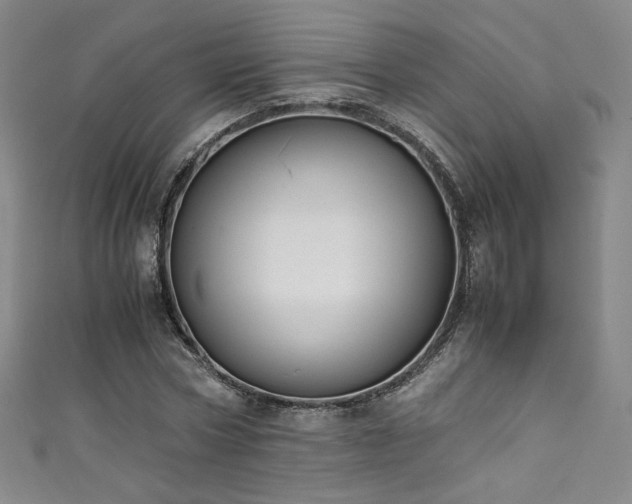 X0000111430778200907131222