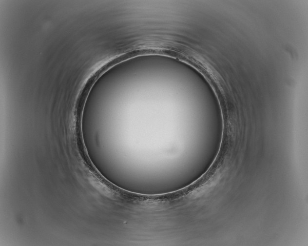 X0000111430779200907131222