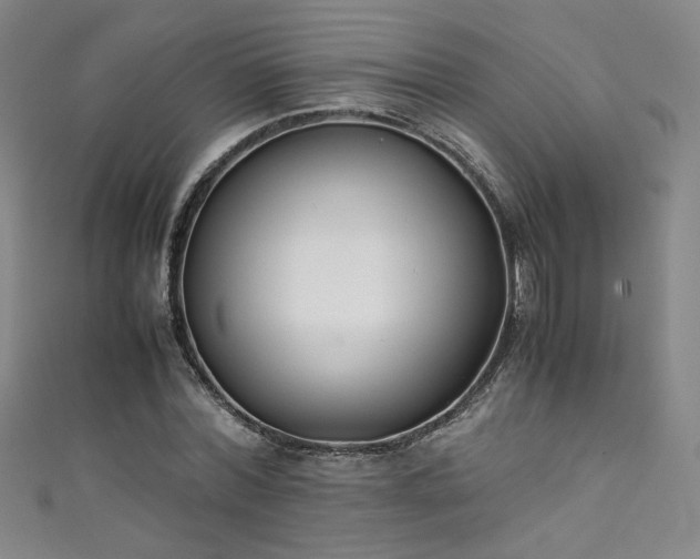X0000111430780200907131222