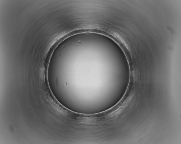 X0000111430781200907131222