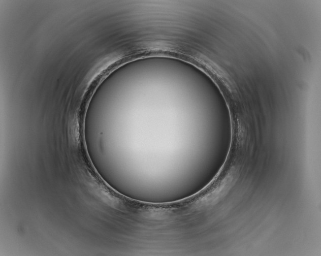 X0000111430782200907131222