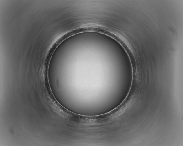 X0000111430783200907131222