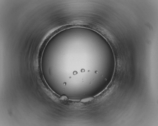 X0000111430784200907131222