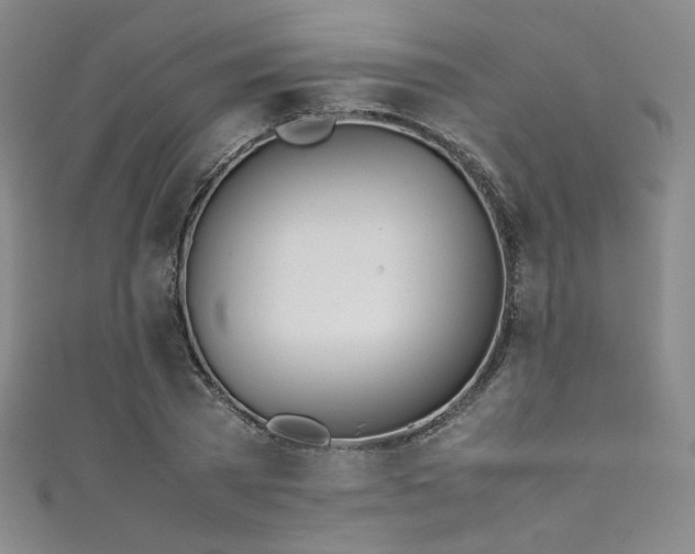X0000111430785200907131222