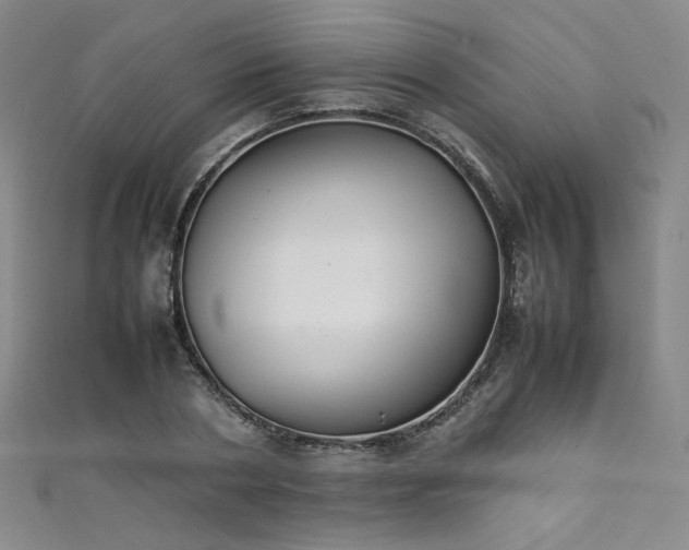 X0000111430786200907131222