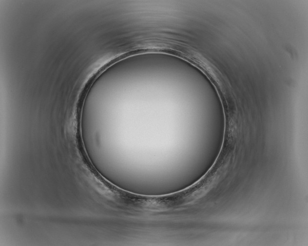 X0000111430787200907131222