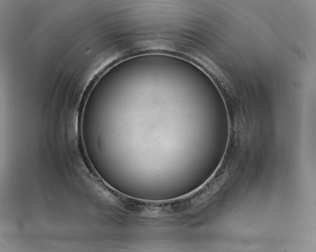 X0000111430790200907131222