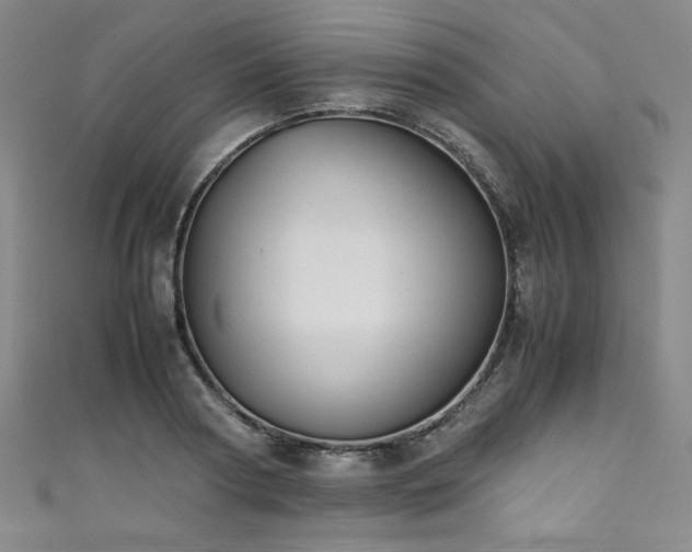 X0000111430794200907131222