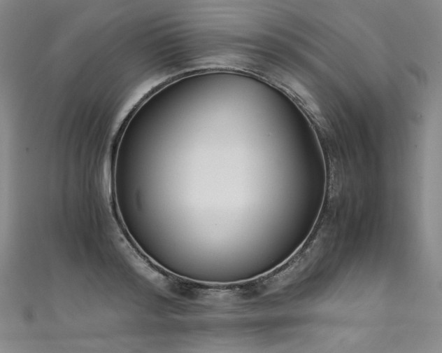 X0000111430796200907131222