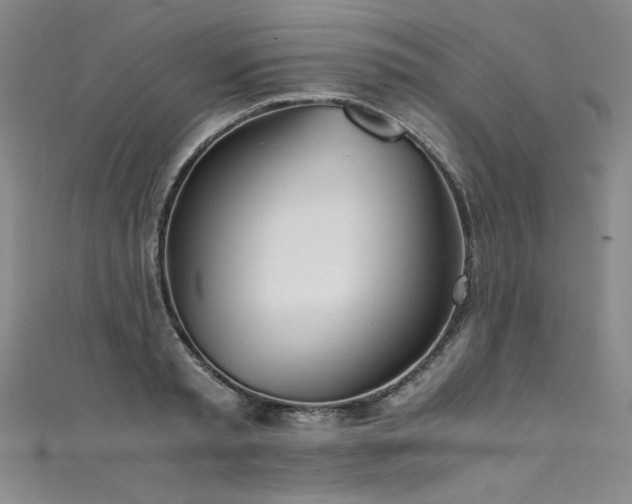 X0000111430797200907131222