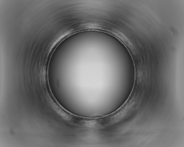 X0000111430798200907131222