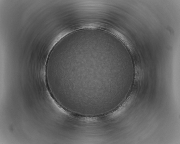 X0000111430802200907131222