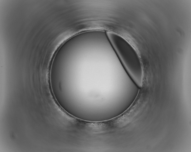 X0000111430805200907131222
