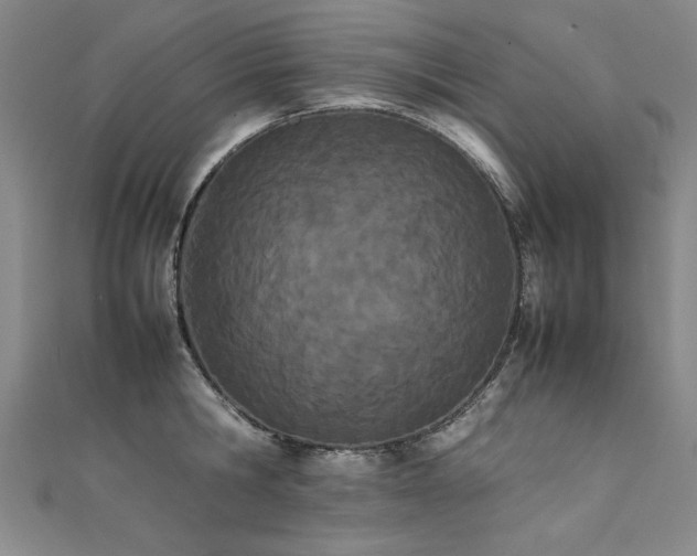 X0000111430806200907131222