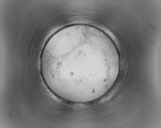 X0000111430807200907131222