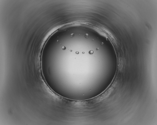 X0000111430808200907131222