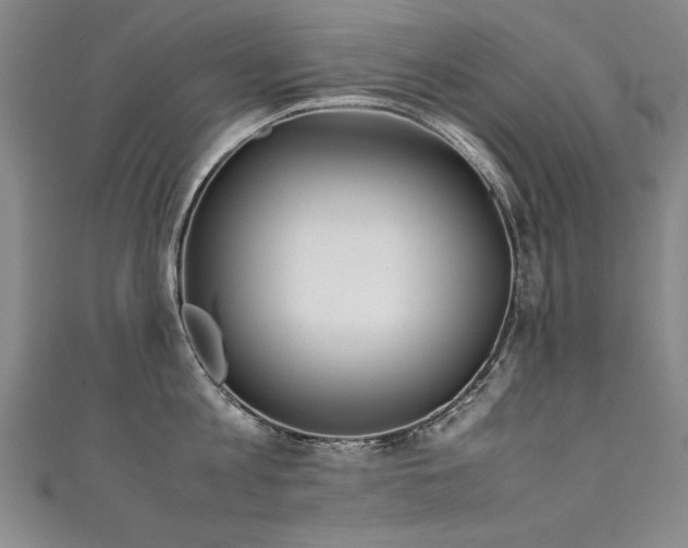X0000111430813200907131222