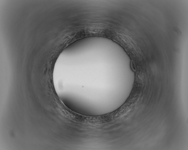 X0000111430817200907131221