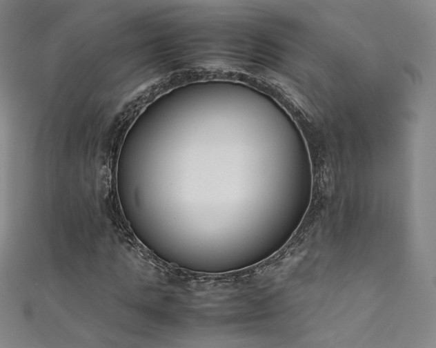 X0000111430821200907131221