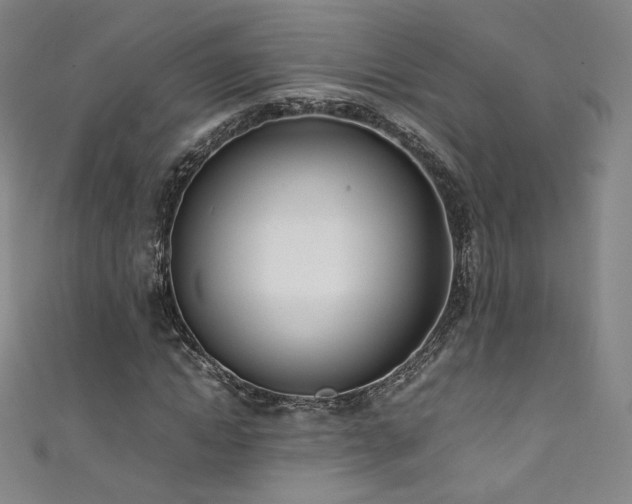 X0000111430822200907131221