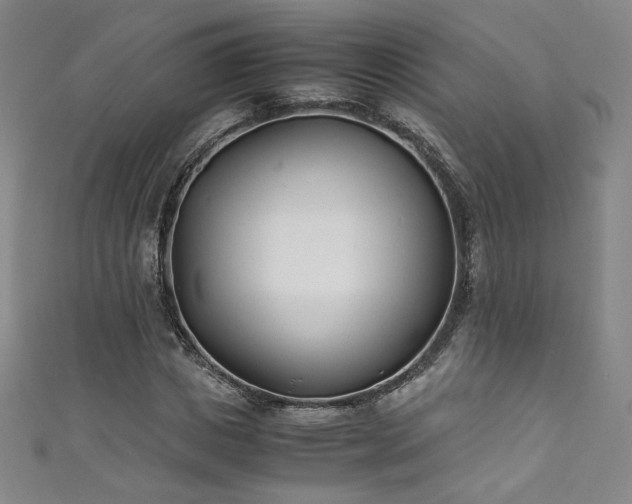X0000111430825200907131221