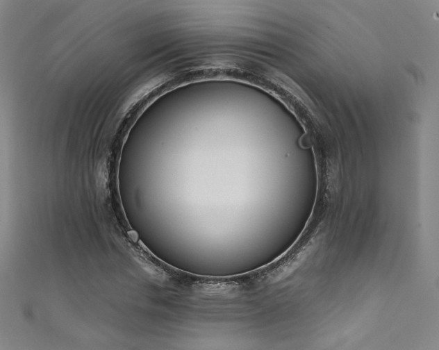 X0000111430826200907131221