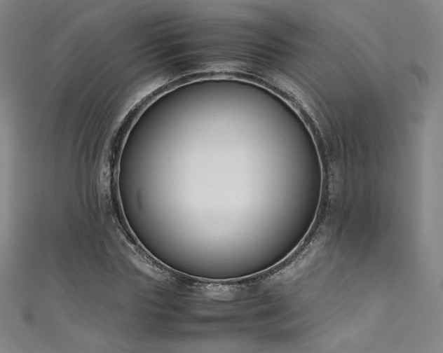 X0000111430827200907131221