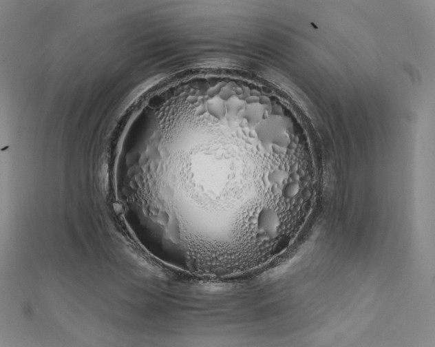 X0000111430829200907131221
