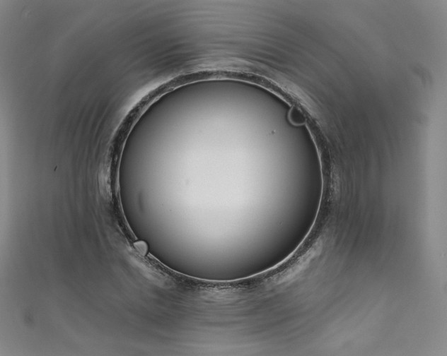 X0000111430830200907131221