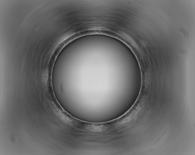 X0000111430831200907131221